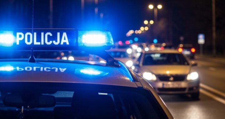 nocny-patrol-zako--czony-zatrzymaniem-sprawcy-dewa-auto-439