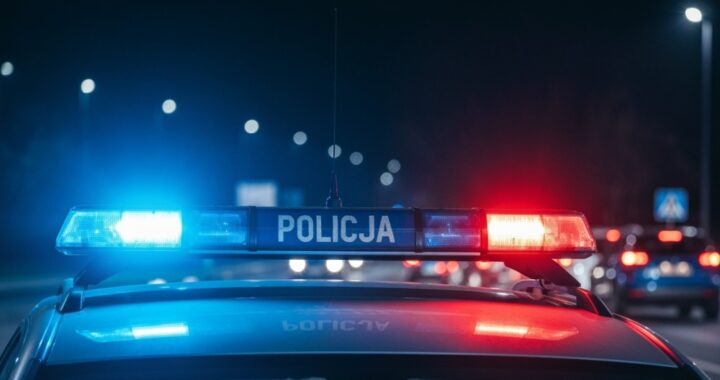 -dzielnicowybli--ejnas-czujno-----dzielnicowego-do-auto-498