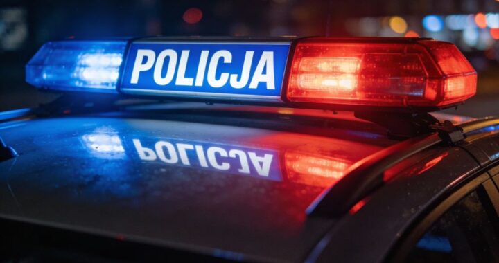 policjant-w-akcji--zatrzymanie-z--odzieja-podczas--auto-6954